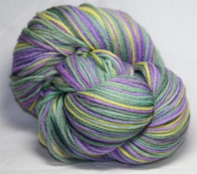 BFL DK - Bearded Iris
